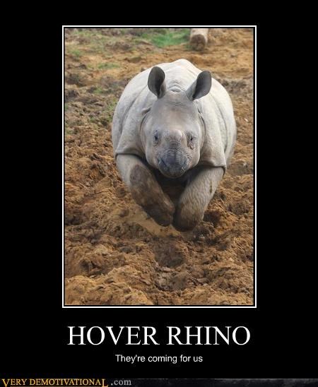 HOVER RHINO
