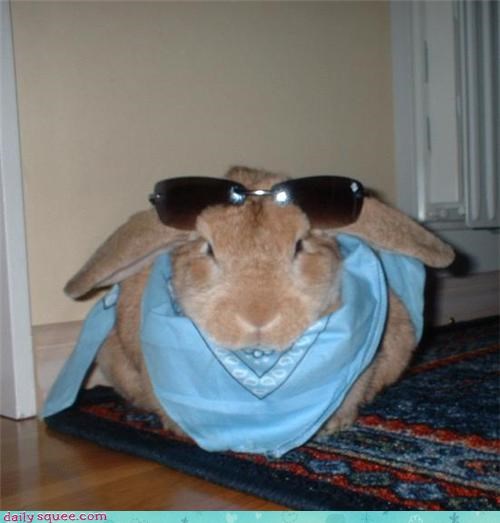 Awesome-Bun