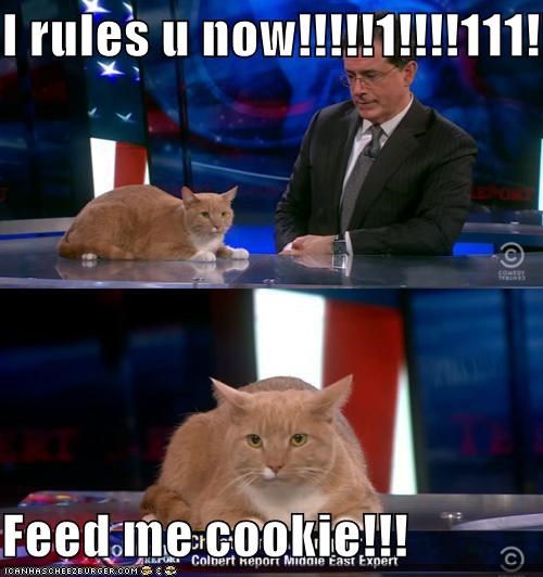 I rules u now!!!!!1!!!!111!!!!!  Feed me cookie!!!