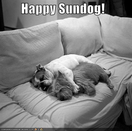Happy Sundog!