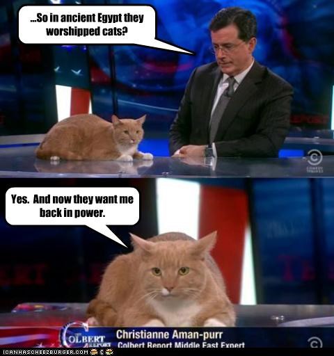 Vote LOLCats in 2011!