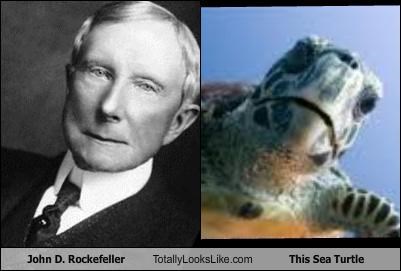 John D. Rockefeller Totally Looks Like This Sea Turtle
