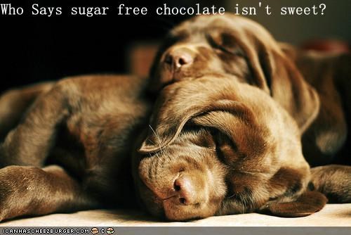 Who Says sugar free chocolate isn't sweet?