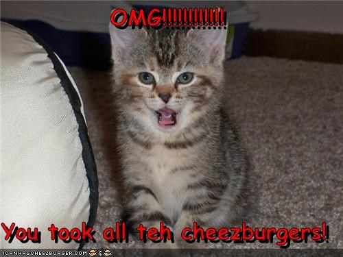 OMG!!!!!!!!!!!!  You took all teh cheezburgers!