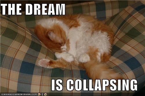THE DREAM  IS COLLAPSING