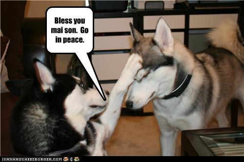 If LOLdogs were priests
