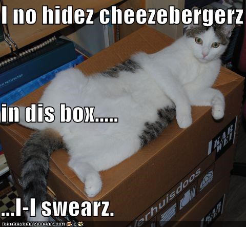 I no hidez cheezebergerz in dis box..... ...I-I swearz.