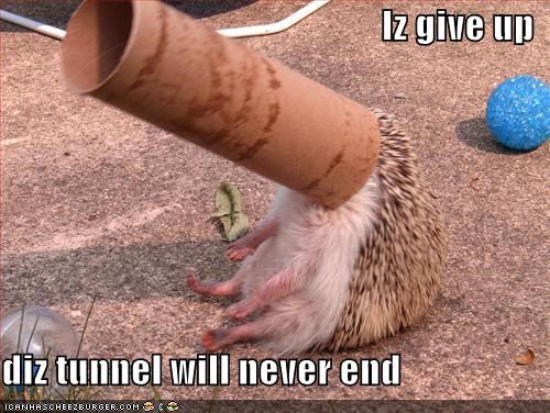 Iz give up  diz tunnel will never end