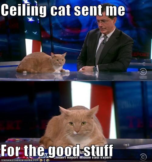 Ceiling cat sent me  For the good stuff