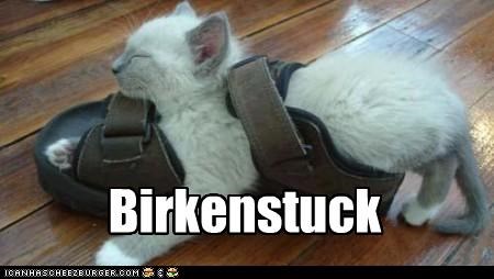 Birkenstuck