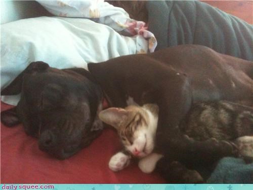 snuggle time
