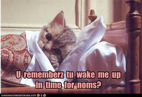 U  rememberz  tu  wake  me  up  in  time  for  noms?