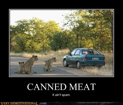 CANNED MEAT