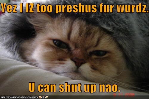 Yez I IZ too preshus fur wurdz.              U can shut up nao.