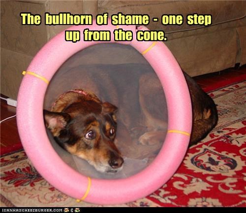 The  bullhorn  of  shame  -  one  step  up  from  the  cone.