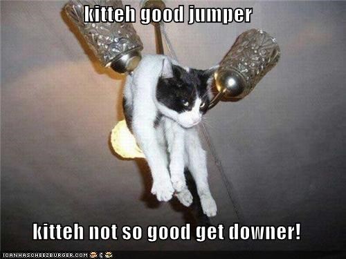kitteh good jumper  kitteh not so good get downer!