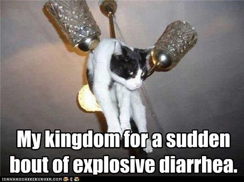 My kingdom for a sudden bout of explosive diarrhea.
