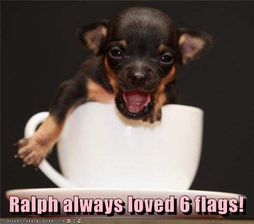 Ralph always loved 6 flags!