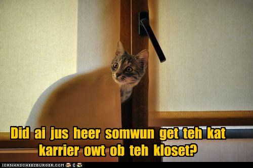 Disappearing act in 3 ... 2 ... 1