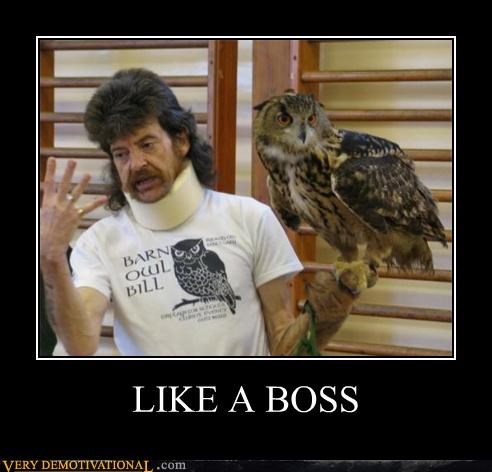 LIKE A BOSS