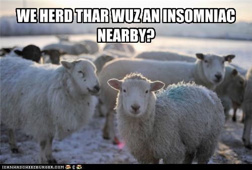 WE HERD THAR WUZ AN INSOMNIAC NEARBY?