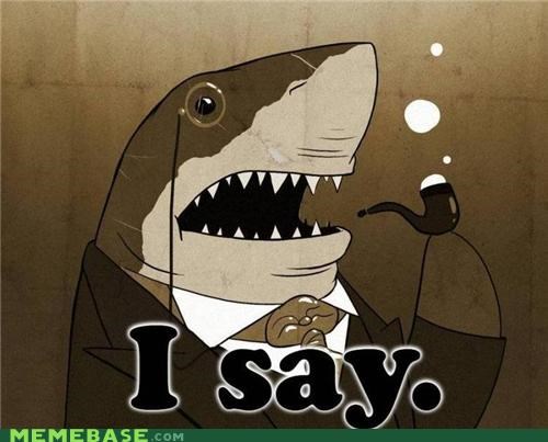 Fancy Shark