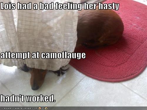 Lois had a bad feeling her hasty attempt at camoflauge hadn't worked.