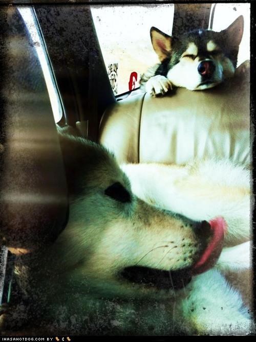 Iz we der yet?