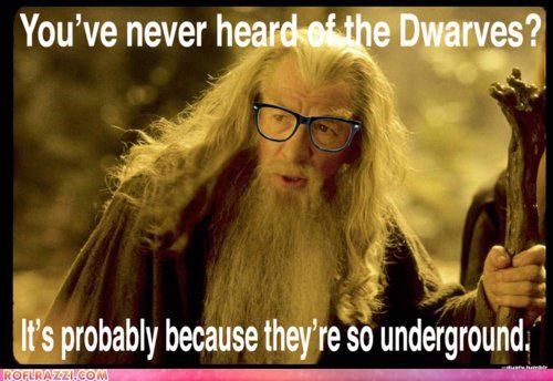 Beard. Glasses. Attitude. Yep, It's Hipster Gandalf