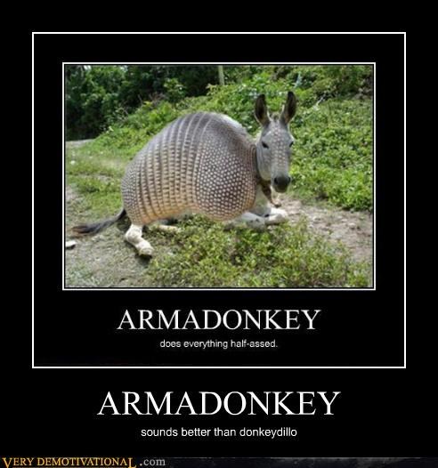 ARMADONKEY