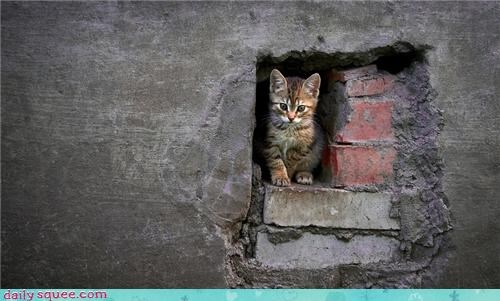 FORTRESS!