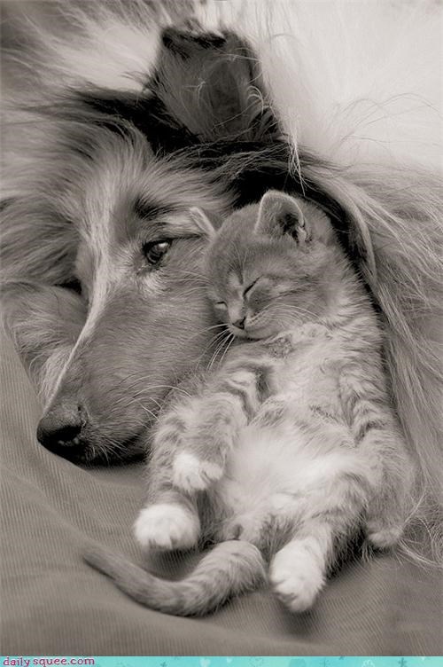 I nap with you