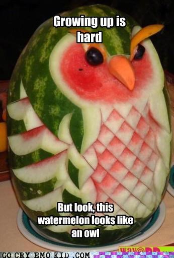 No One Gives a Hoot