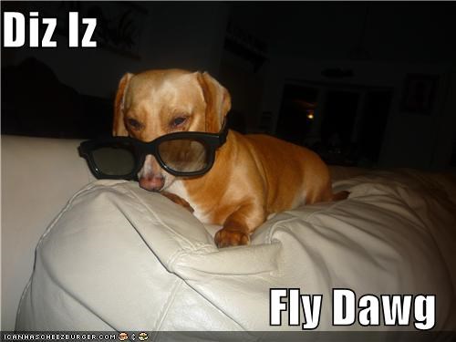 Diz Iz  Fly Dawg