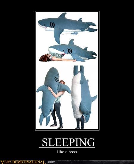 SLEEPING