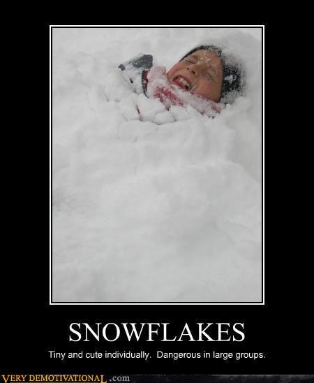SNOWFLAKES