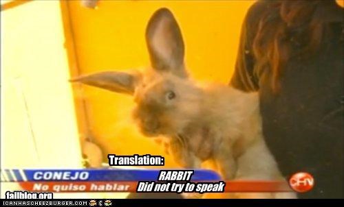 Rabbit didn't speak