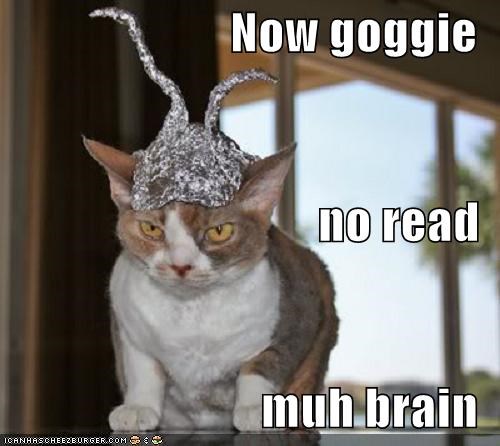 Now goggie no read muh brain