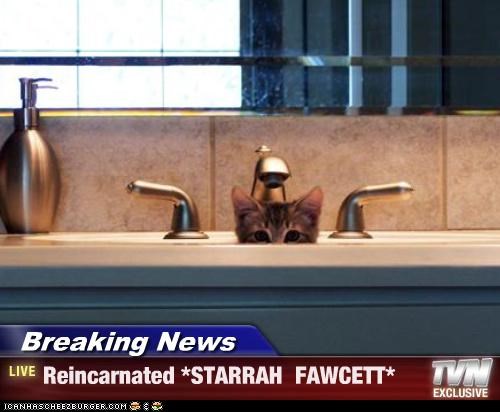 Breaking News - Reincarnated *STARRAH  FAWCETT*