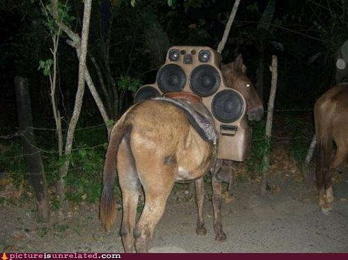 Horse Beat
