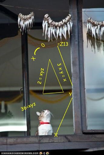 Einstein's Cat Plans Lunch