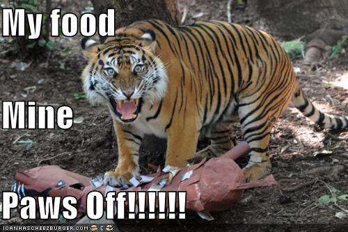 My food  Mine Paws Off!!!!!!
