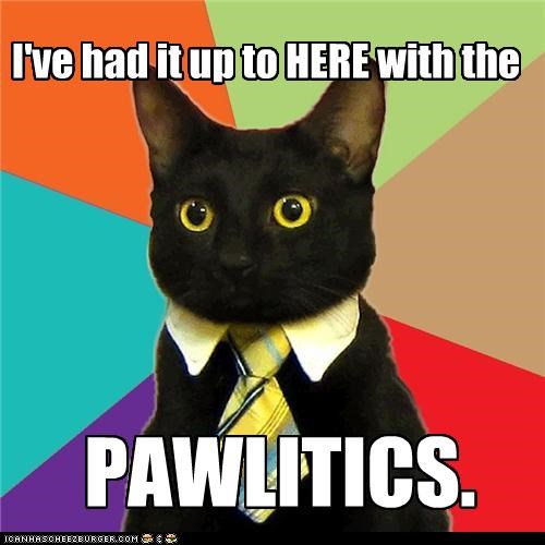 Business Kitty: Workplace Power Struggle