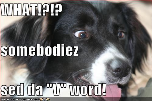 WHAT!?!? somebodiez sed da "V" word!