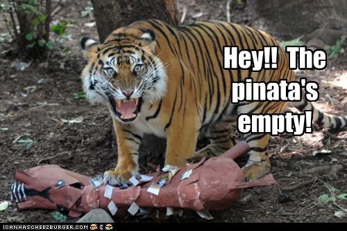 Hey!!  The  pinata's empty!