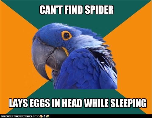 Paranoid Parrot: Spider Incubator