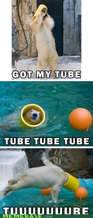 Got My Tube