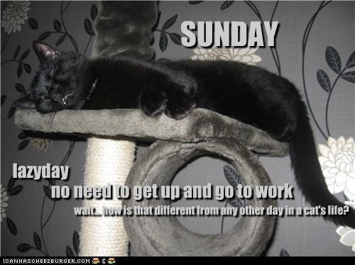 SUNDAY