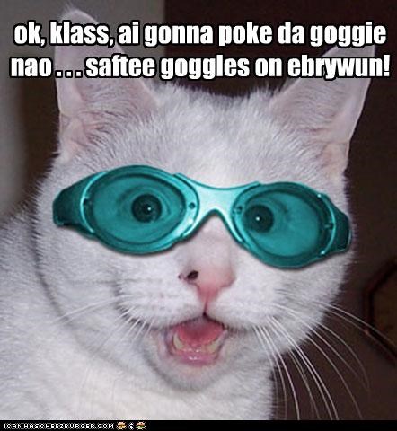 ok, klass, ai gonna poke da goggie nao . . . saftee goggles on ebrywun!