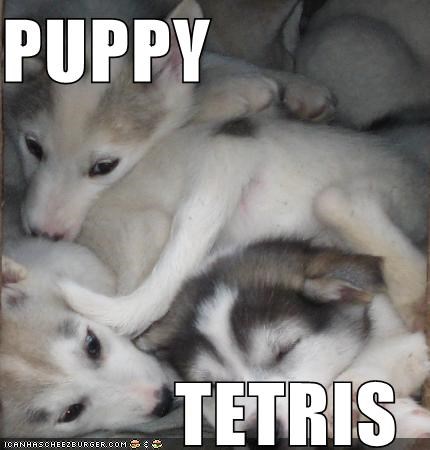 PUPPY  TETRIS